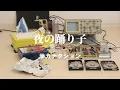 夜の踊り子 / サカナクション (Cover)