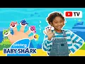 Download Lagu [4K] Shark Finger Family  | Kids Choreography | Dance Along | Baby Shark Official