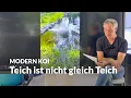 Download Lagu Kann ein Naturteich ein Koiteich sein? | Modern Koi Blog #7826 MP3