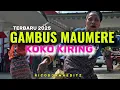 Download Lagu LAGU JOGET GAMBUS MAUMERE KOKO KIRING TERBARU 2025 RICO DJWA EDITZ