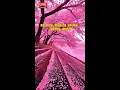 Download Lagu 🎶 Kanashimi no Melody  Kumpulan Lagu Anime Jepang Sedih untuk Hati yang Merindu 💔|1Jam Full Playli