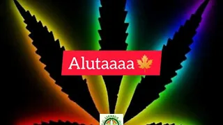 ochungolo aluta lyrics song