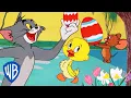 Download Lagu Tom i Jerry po polsku | Wielkanocne eskapady z Kaczorkiem 🐣 | WB Kids