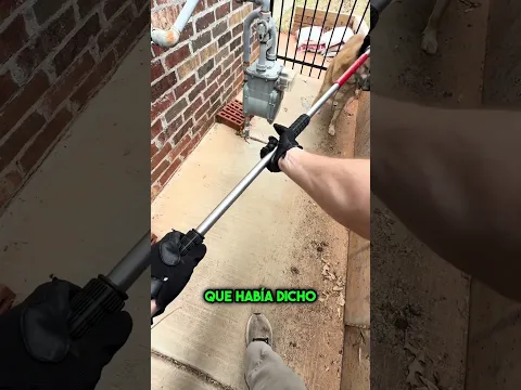 Creían que Este Perro Era Peligroso… Hasta que Descubrieron la Verdad 😱 #shorts