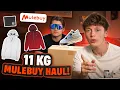 Download Lagu 11KG Mulebuy Haul!