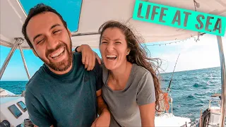Catamaran Sailing To North Carolina ⛵ Weekly Vlog Of Sailboat Living Ep. 47