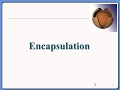 05-Object Oriented Programming Encapsulation