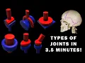 JOINT ANATOMY in 3 5 MINUTES