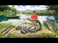 Harvesting 1000KG Snakehead Fish for Market - Bushcraft Catch and Cook Outdoors