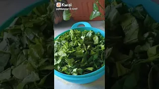 السبانخ بطريقة سهلة وسريعة صحية و بدون لحم اكلات اكلات سريعه فولو لايك اشتراك صحي 