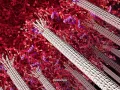 Kinetochore and Mitosis 2014 Drew Berry wehi tv