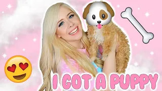 I GOT A PUPPY Bringing Home My Toy Maltipoo First Days Home