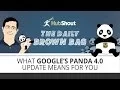 What Google s Panda 4 0 Update Means For You