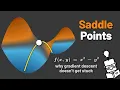 Saddle Points - Why Gradient Descent Doesn t Get Stuck