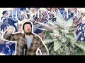 Season 1 Episode 6 Headbanger in the 90 Nocturnal Farms