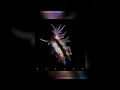 Sub focus - waiting ( s l o w e d + r e v e r b )
