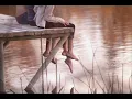 Edu Ribeiro - De mais ninguém