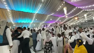 ود الاشبة يا زول يا زول الامارات العين 