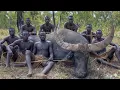 Lagu When Africa’s Hadzabe Hunters Take on a Giant Buffalo \u0026 Cook in the Wild! | Hadzabe Tribe Survival