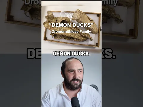 Did humans wipe out the demon ducks?