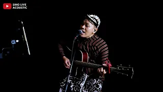 bohoso moto cipt koming siho live acoustic cover 