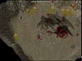 Hell Hounds VS Shadow Wyrm