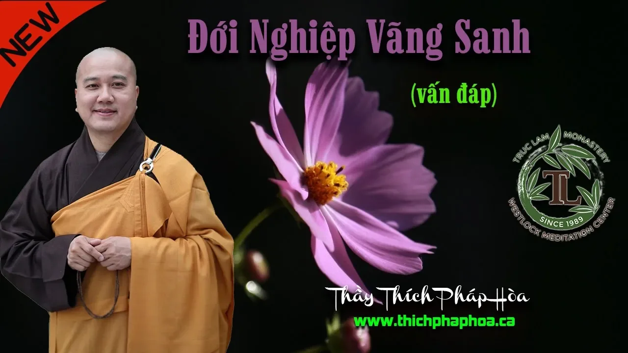 Outline Video Đới Nghiệp Vãng Sanh là gì? - Thầy Thích Pháp Hòa vấn đáp
