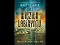 Więzień Labiryntu (Cz1) | Audiobook Pl cały