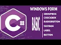 C Windows Form CheckBox RadioButton