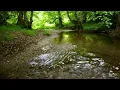 Relaxing River Sounds - Peaceful Forest River - 3 Hours Long - HD 1080p - Nature Video