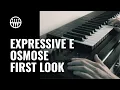 Download Lagu First Look at the Osmose by Expressive E and Haken Audio | Thomann