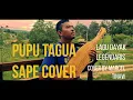 Download Lagu Pupu Tagua (Lagu Dayak versi Instrumen Sape)