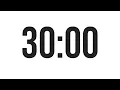30 MINUTE TIMER - COUNTDOWN TIMER MINIMAL