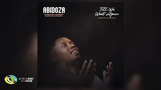 Abidoza - Till We Meet again (Tribute to DJ Sumbody) [Ft. Rams De Violinist \u0026 Mduduzi Ncube] (Audio)