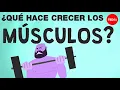 Download Lagu ¿Cómo crecen los músculos? - Jeffrey Siegel