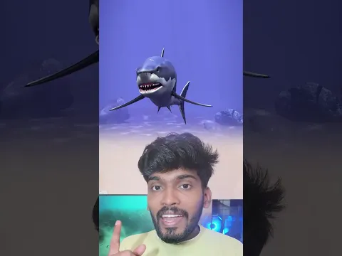 🤯இந்த தப்ப பண்ணாதீங்க ❌ Shark🦈 snake🐍 crocodile🐊 கிட்ட மாட்டீங்க நா #shorts