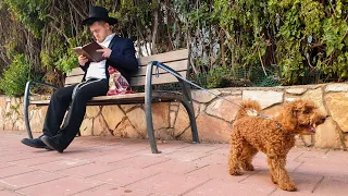 ברדק חרדי מחמד 