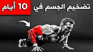   تمارين رهيبة لتضخيم الجسم بالكامل بسهول   خطة كاملة للمبتدئين    للأعمار بين    إلى     دندنها