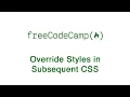 Override Styles in Subsequent CSS