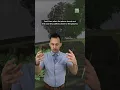 Does rain help with pollen Here s the truth