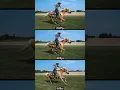 Download Lagu Slow Motion Horse 1000fps