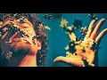 Blackbird Blackbird - Hawaii (Persona La Ave Remix)