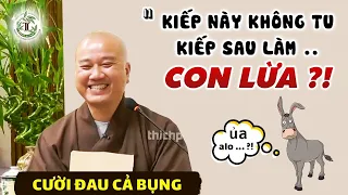 Đang nghe pháp mà làm việc riêng Kiếp Sau Làm Con Lừa - "CƯỜI XỈU" Vấn Đáp Thầy Thích Pháp Hòa