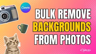 Bulk Remove Backgrounds in Canva Fast Easy Tutorial