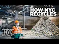 How Much Does New York Actually Recycle - NYC Revealed