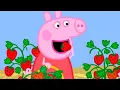 Download Lagu Peppa Pig Full Episodes | Season 8 | Compilation 47 | Kids Video