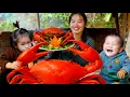 Download Lagu Hari Hujan Bersama Putri Kecil Masuk Hutan Menangkap Kepiting Raksasa untuk Direbus