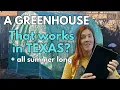 How I built a Texas tough greenhouse that lasts all summer