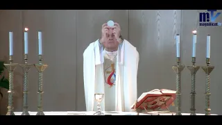 La Santa Misa de Hoy | Memoria de San Martín de Tours, obispo | 11-11-2024 | Pbro. Javier Martín, FM