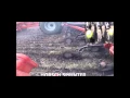Devloo Roto Mud Scrapers in use on a Horsch Sprinter